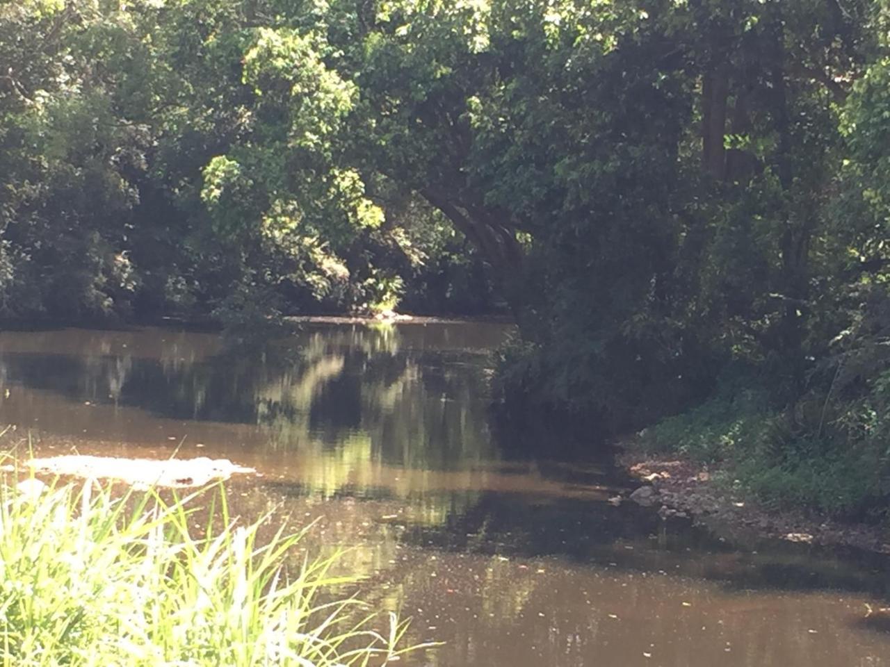 Yandina Caravan Park المظهر الخارجي الصورة